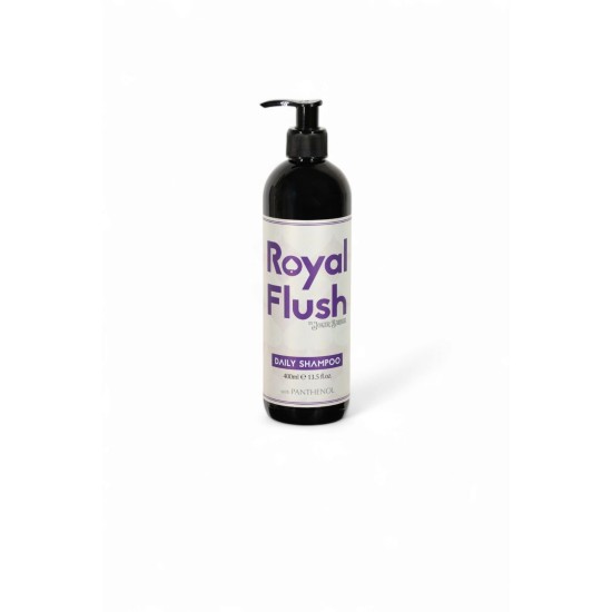 DAILY SHAMPOO  400ml
